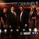 Audiences TF1 - Mercredi 21 Octobre 2015