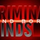 Criminal Minds : Beyond Borders en DVD - Saison 1