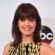 2015 Summer TCA Press Tour - ABC | Bellamy Young