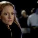 Diffusion TF1 - Mercredi 23 Novembre 2016