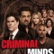 DVD l Saison 8