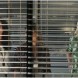 CM : BB - Episode 2.01 : quelques infos suppl�mentaires !