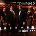 Audiences TF1 - Mercredi 04 Novembre 2015