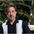 Joe Mantegna honor� par la ville de Chicago pour sa carri�re