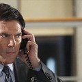Thomas Gibson suspendu pendant deux semaines...