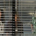 CM : BB - Episode 2.01 : quelques infos suppl�mentaires !