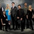 Saison 8