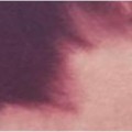 Un acteur d�voile une photo de lui enfant, mais qui est-ce ?