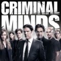 DVD l Saison 9