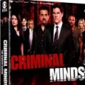 DVD - Saison 7