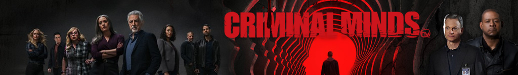 Banni&egrave;re du quartier Esprits Criminels, franchise