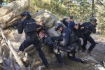 Esprits Criminels, franchise Shemar Moore dans S.W.A.T. 