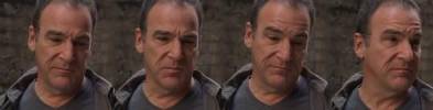 Esprits Criminels, franchise Les banni�res des fans de la franchise 