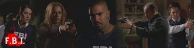 Esprits Criminels, franchise Les banni�res des fans de la franchise 