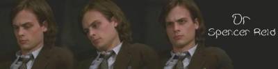 Esprits Criminels, franchise Les banni�res des fans de la franchise 