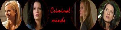 Esprits Criminels, franchise Les banni�res des fans de la franchise 