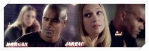 Esprits Criminels, franchise Les banni�res des fans de la franchise 