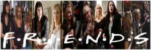 Esprits Criminels, franchise Les banni�res des fans de la franchise 