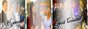 Esprits Criminels, franchise Les banni�res des fans de la franchise 