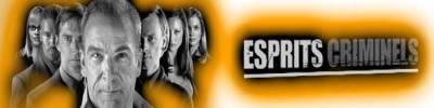 Esprits Criminels, franchise Les banni�res des fans de la franchise 