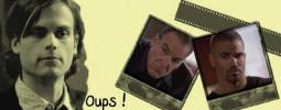 Esprits Criminels, franchise Les banni�res des fans de la franchise 