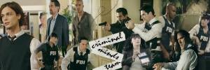 Esprits Criminels, franchise Les banni�res des fans de la franchise 