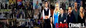 Esprits Criminels, franchise Les banni�res des fans de la franchise 