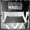 Esprits Criminels, franchise Les avatars des fans de la franchise 
