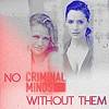 Esprits Criminels, franchise Les avatars des fans de la franchise 